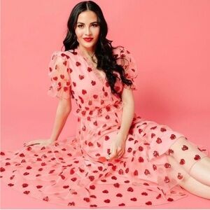Worn 1x Rachel Parcell Sequin Heart Tulle Midi Dress Pink Red
Valentines Love XL